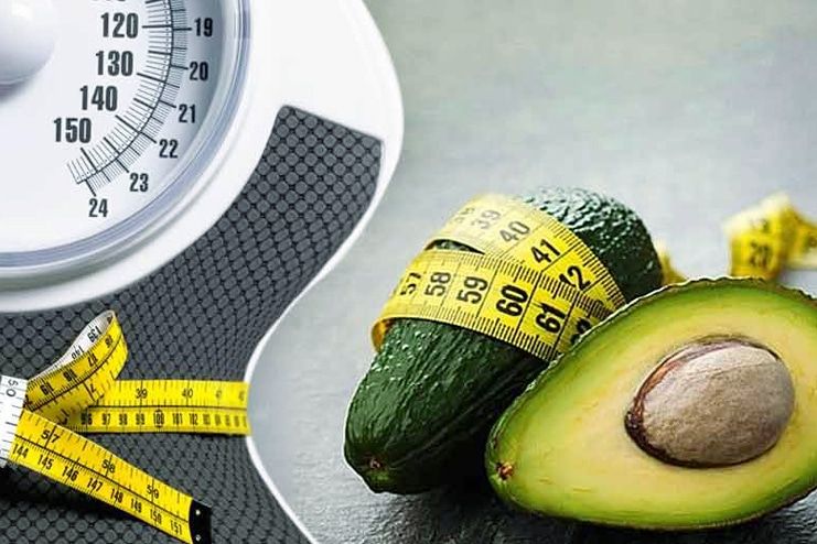 How Does The Avocado Help In Weight Loss