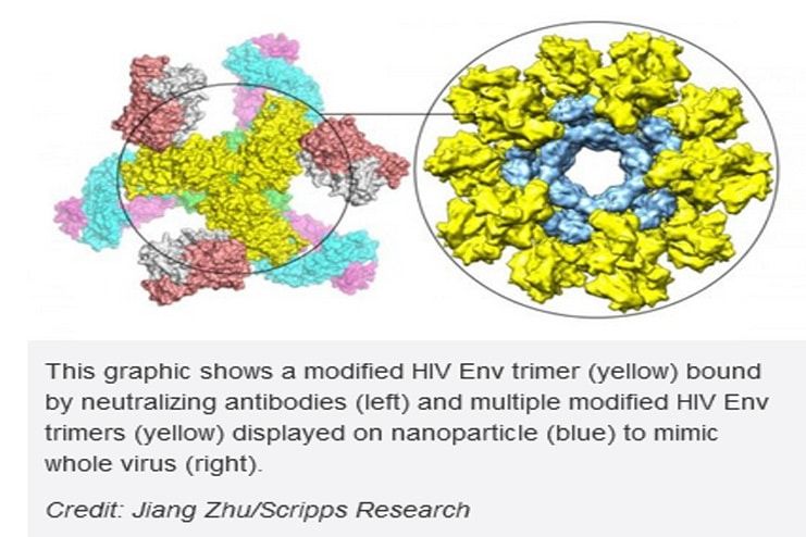 HIV-Vaccine-Strategy