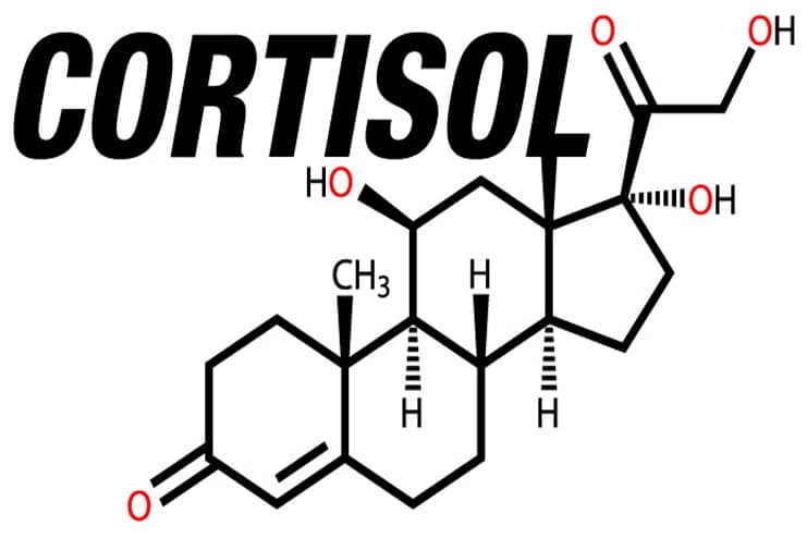 What is Cortisol