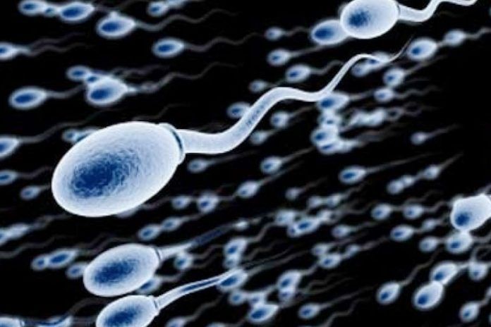 keep your sperm healthy
