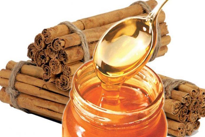 honey and cinnamon for weight loss