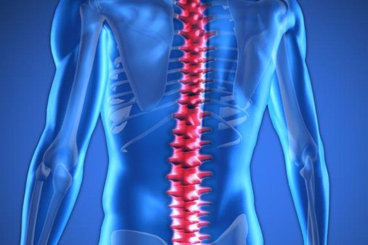 Affects the spine health