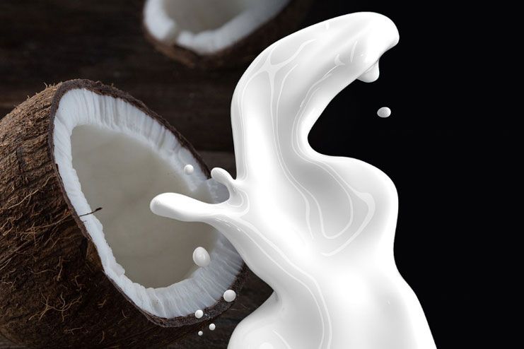 What happens if you drink too much coconut milk